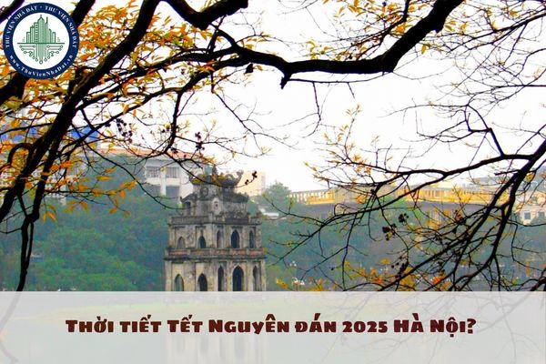 Thời tiết Tết Nguyên đán 2025 Hà Nội? Dự báo thời tiết Tết Nguyên đán 2025 Hà Nội có rét không?