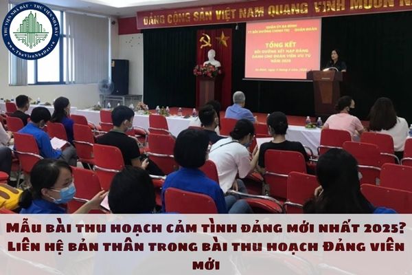 Mẫu bài thu hoạch cảm tình Đảng mới nhất 2025? Liên hệ bản thân trong bài thu hoạch Đảng viên mới