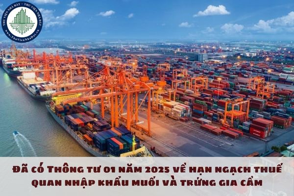 Đã có Thông tư 01 năm 2025 về hạn ngạch thuế quan nhập khẩu muối và trứng gia cầm