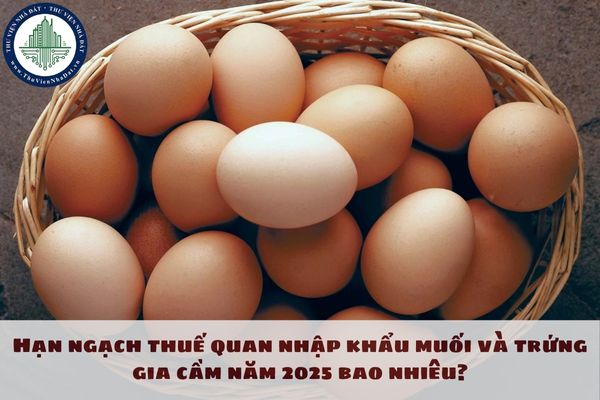 Hạn ngạch thuế quan nhập khẩu muối và trứng gia cầm năm 2025 bao nhiêu?