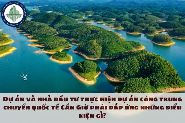 Tiêu chí lựa chọn nhà đầu tư thực hiện dự án cảng quốc tế Cần Giờ như thế nào?