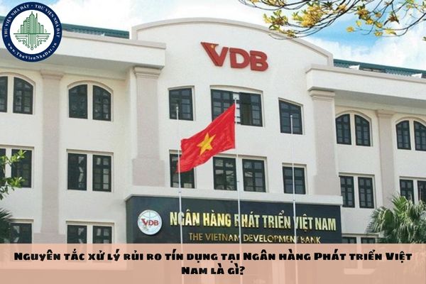 Nguyên tắc xử lý rủi ro tín dụng tại Ngân hàng Phát triển Việt Nam là gì?