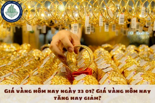 Giá vàng hôm nay ngày 23 01? Giá vàng hôm nay tăng hay giảm?