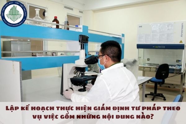 Lập kế hoạch thực hiện giám định tư pháp theo vụ việc gồm những nội dung nào?