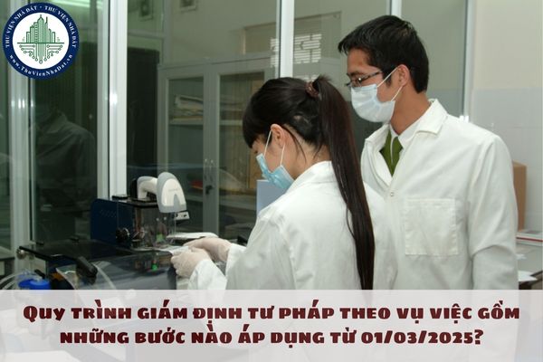 Quy trình giám định tư pháp theo vụ việc gồm những bước nào áp dụng từ 01/03/2025?