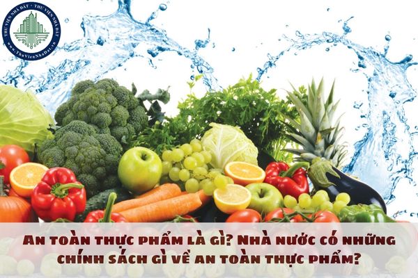 An toàn thực phẩm là gì? Nhà nước có những chính sách gì về an toàn thực phẩm?