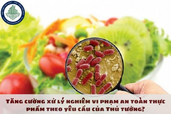 Tăng cường xử lý nghiêm vi phạm an toàn thực phẩm theo yêu cầu của Thủ tướng?