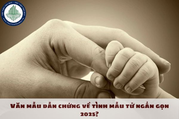 Văn mẫu dẫn chứng về tình mẫu tử ngắn gọn 2025?