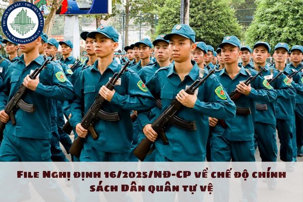 File Nghị định 16/2025/NĐ-CP về chế độ chính sách Dân quân tự vệ