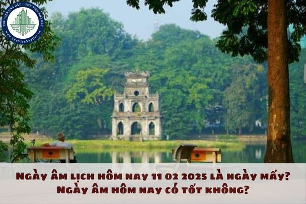 Ngày âm lịch hôm nay 11 02 2025 là ngày mấy? Ngày âm hôm nay có tốt không?