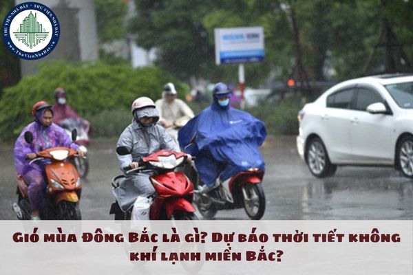 Gió mùa Đông Bắc là gì? Dự báo thời tiết không khí lạnh miền Bắc?