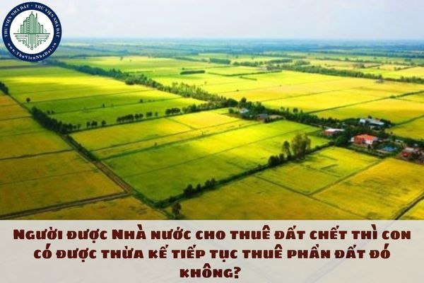 Người được Nhà nước cho thuê đất chết thì con có được thừa kế tiếp tục thuê phần đất đó không?