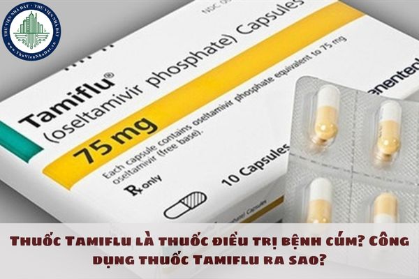 Thuốc Tamiflu là thuốc điều trị bệnh cúm? Công dụng thuốc Tamiflu ra sao?