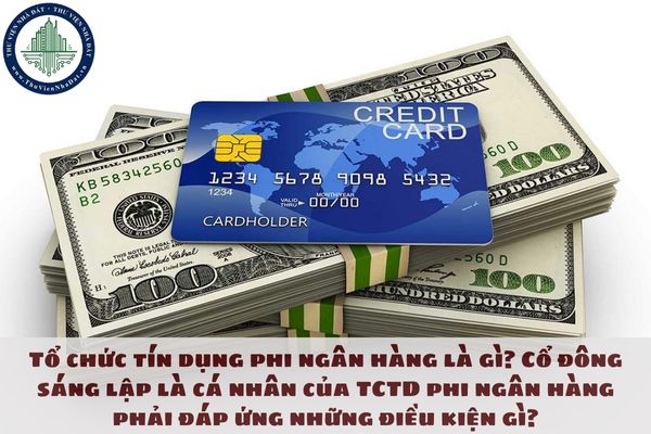 Tổ chức tín dụng phi ngân hàng là gì? Cổ đông sáng lập là cá nhân của TCTD phi ngân hàng phải đáp ứng những điều kiện gì?