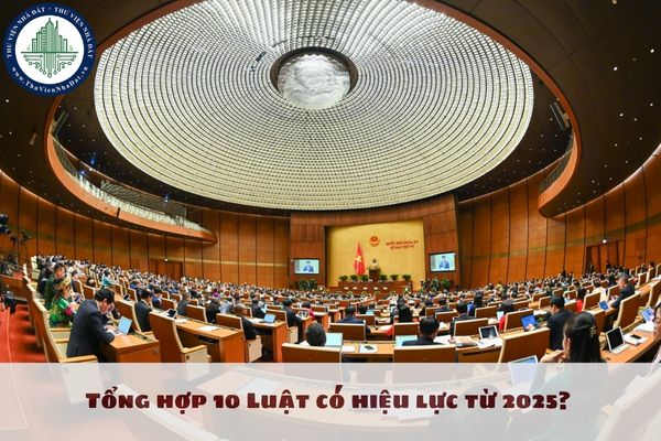 Tổng hợp 10 Luật có hiệu lực từ 2025? Việt Nam có bao nhiêu Bộ luật đang có hiệu lực?