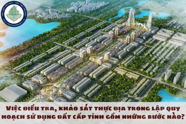 Việc điều tra, khảo sát thực địa trong lập quy hoạch sử dụng đất cấp tỉnh gồm những bước nào?