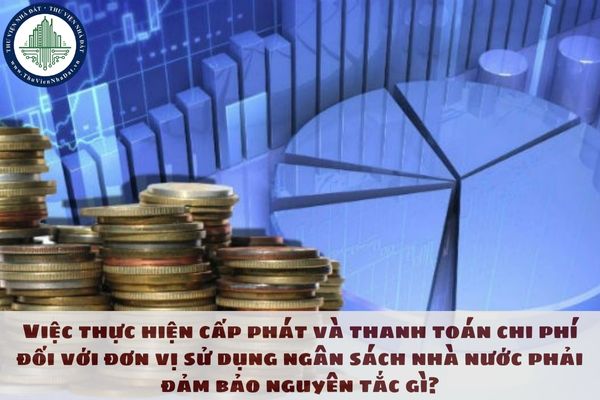 Việc thực hiện cấp phát và thanh toán chi phí đối với đơn vị sử dụng ngân sách nhà nước phải đảm bảo nguyên tắc gì?