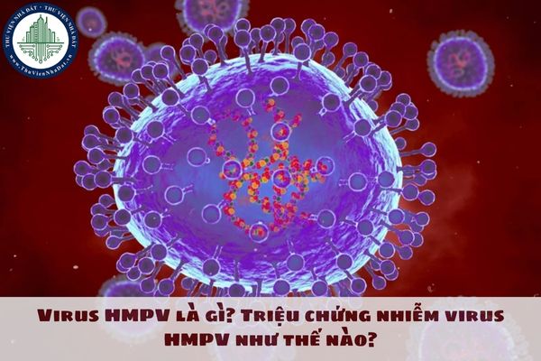 Virus HMPV là gì? Triệu chứng nhiễm virus HMPV như thế nào?