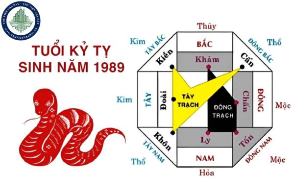 Hướng dẫn chọn hướng bếp hợp phong thủy người tuổi Kỷ Tỵ 1989?