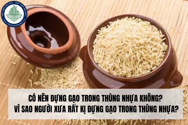 Có nên đựng gạo trong thùng nhựa không? Vì sao người xưa rất kị đựng gạo trong thùng nhựa?