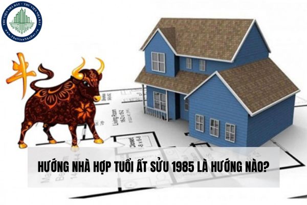 Hướng nhà hợp tuổi Ất Sửu 1985 là hướng nào?