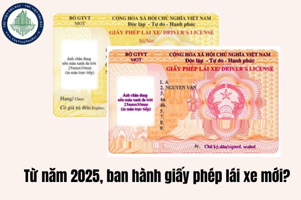 Từ năm 2025, ban hành giấy phép lái xe mới?