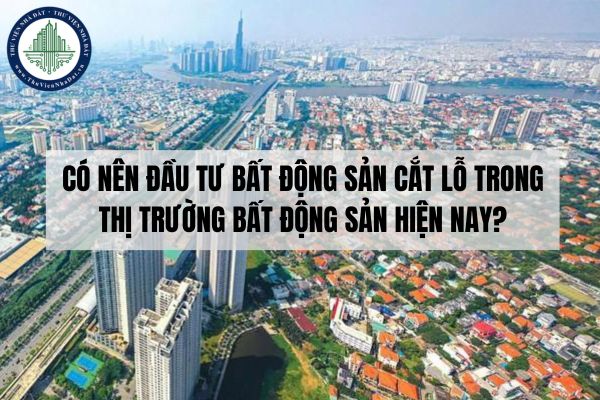 Có nên đầu tư bất động sản cắt lỗ trong thị trường bất động sản hiện nay?