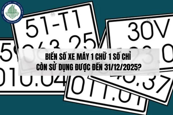 Biển số xe máy 1 chữ 1 số chỉ còn sử dụng được đến 31/12/2025?