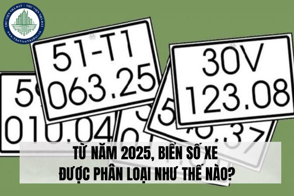 Từ năm 2025, biển số xe được phân loại như thế nào?