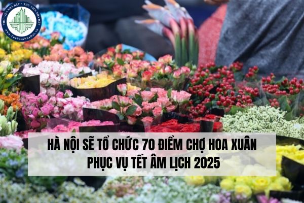 Hà Nội sẽ tổ chức 70 điểm chợ hoa xuân phục vụ Tết Âm lịch 2025