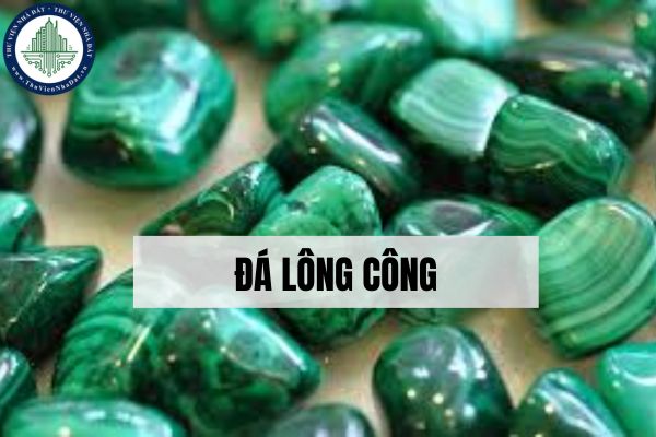 Đá lông công hợp mệnh gì? Ứng dụng của đá lông công trong trang sức phong thủy?