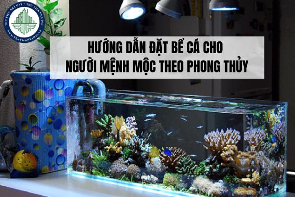 Hướng dẫn đặt bể cá cho người mệnh Mộc theo phong thủy