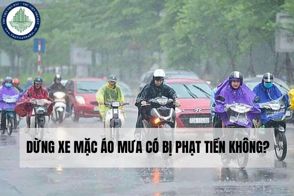 Dừng xe mặc áo mưa có bị phạt tiền không?