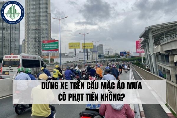 Dừng xe trên cầu mặc áo mưa có phạt tiền không?