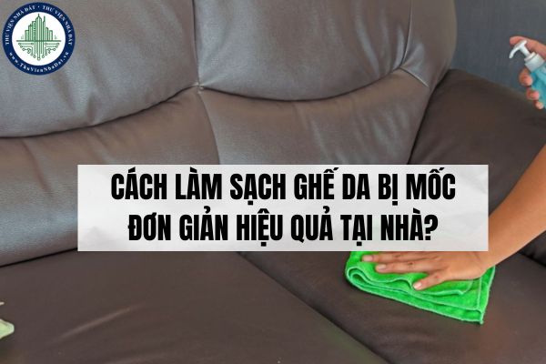 Cách làm sạch ghế da bị mốc đơn giản hiệu quả tại nhà?