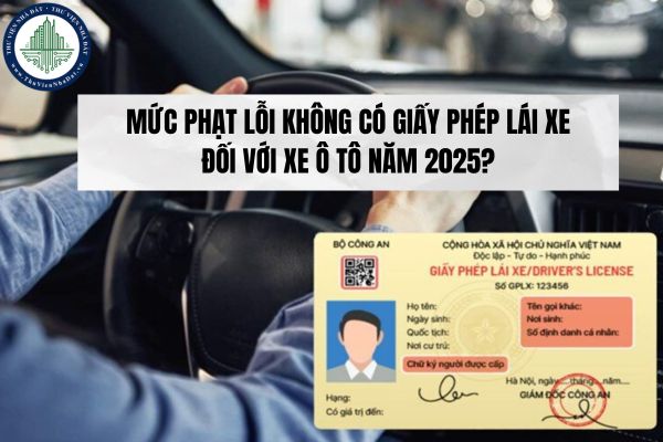 Mức phạt lỗi không có giấy phép lái xe đối với xe ô tô năm 2025? (Nghị định 168/2024/NĐ-CP)