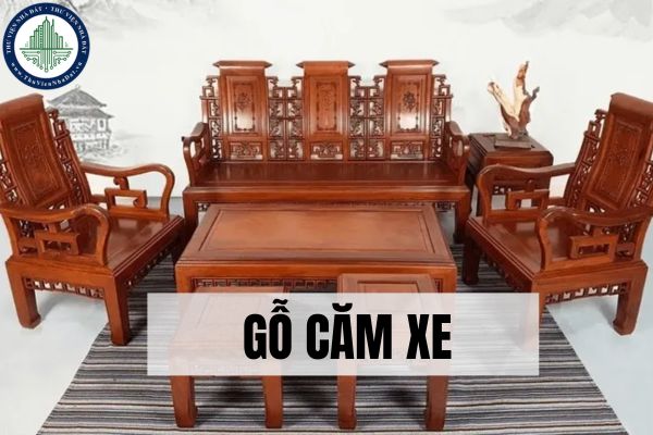 Gỗ căm xe là gì? Ứng dụng của gỗ căm xe trong thiết kế nội thất?