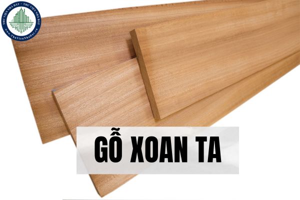 Gỗ xoan ta trong sản xuất đồ gỗ nội thất?