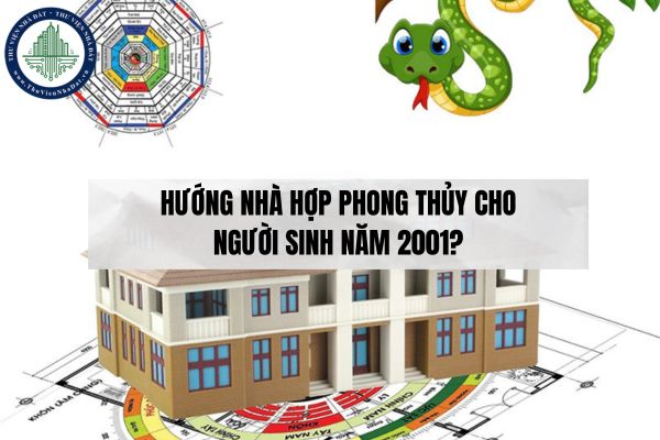 Sinh năm 2001 mệnh gì? Hướng nhà hợp với người sinh năm 2001?