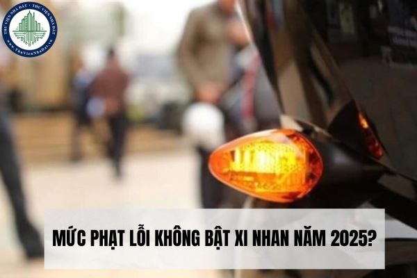 Mức phạt lỗi không bật xi nhan năm 2025? (Nghị định 168/2024/NĐ-CP)