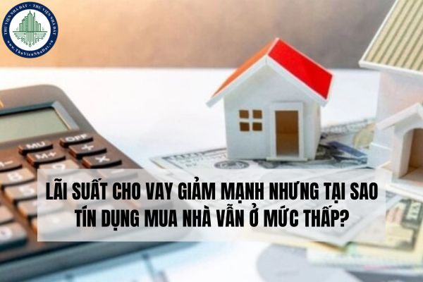 Lãi suất cho vay giảm mạnh nhưng tại sao tín dụng mua nhà vẫn ở mức thấp?