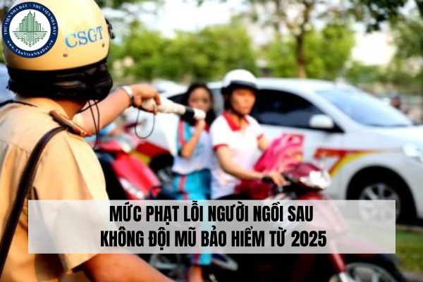 Mức phạt lỗi người ngồi sau không đội mũ bảo hiểm từ 2025 (Nghị định 168/2024/NĐ-CP)