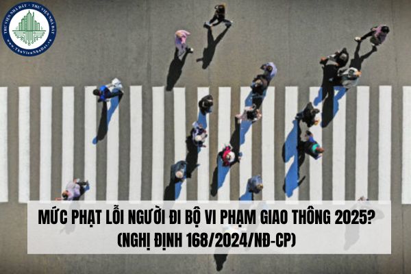 ﻿Mức phạt lỗi người đi bộ vi phạm giao thông 2025? (Nghị định 168/2024/NĐ-CP)