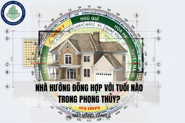 Nhà hướng Đông hợp với tuổi nào trong phong thủy?