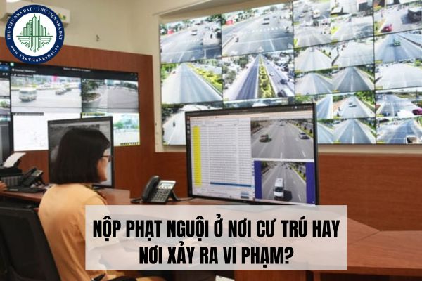 Nộp phạt nguội tại nơi cư trú hay nơi xảy ra vi phạm?