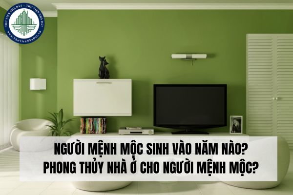 Người mệnh Mộc sinh vào năm nào? Phong thủy nhà ở cho người mệnh Mộc?