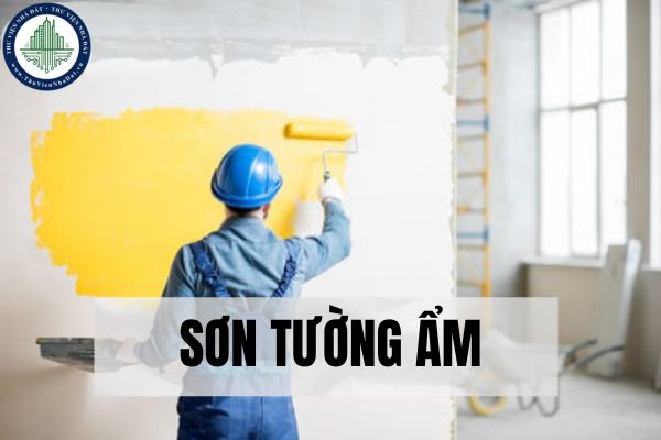 Có thể sơn tường ẩm khi thi công được không? Quy trình sơn tường ẩm đúng cách?