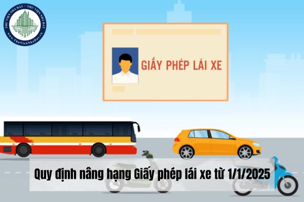 Quy định nâng hạng Giấy phép lái xe từ năm 2025?