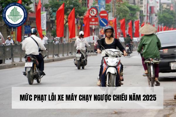 Mức phạt lỗi xe máy chạy ngược chiều năm 2025