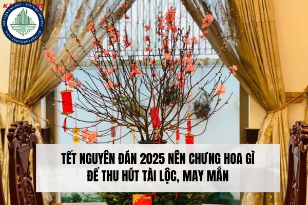 Tết Nguyên đán 2025 nên chưng hoa gì để thu hút tài lộc, may mắn?